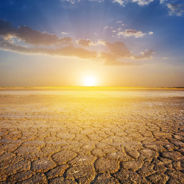 Dry lands before a dusk — Stock Photo, Image