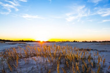 günbatımı kumlu bir çayır üzerinde