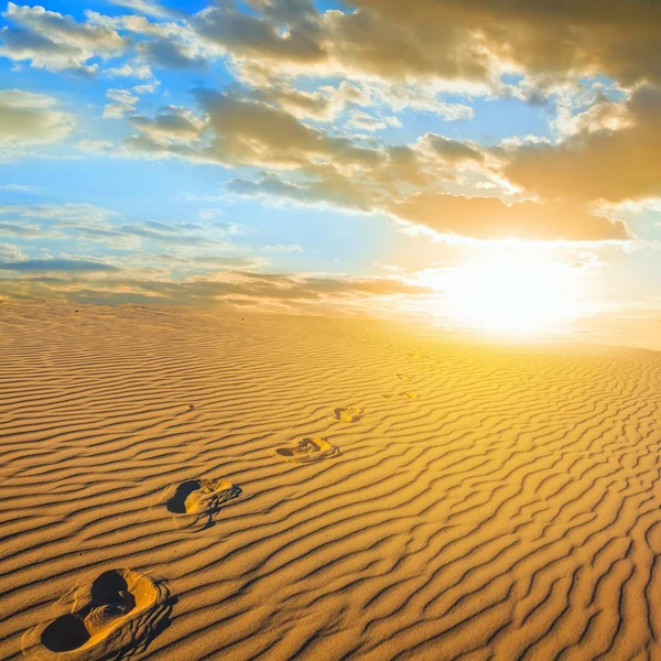 Uitzichtpunt, menselijke track en avondzon — Stockfoto