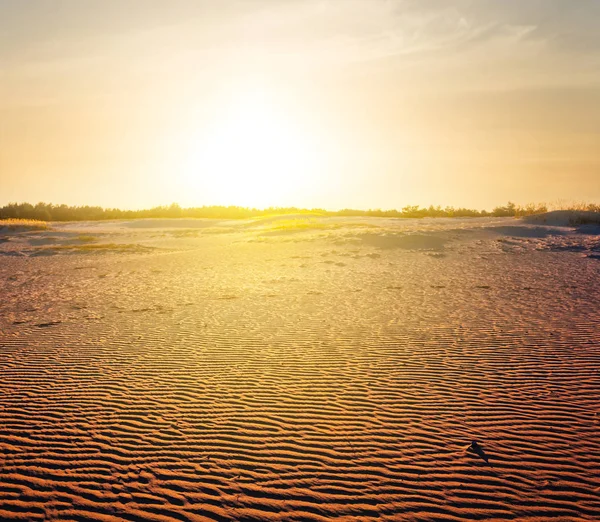 Desierto de arena al atardecer —  Fotos de Stock