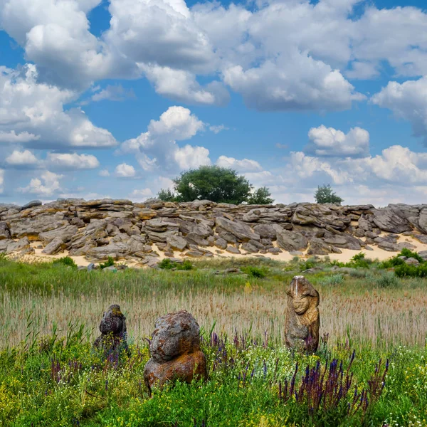 Oekraïne, stenen graven, nationaal parklandschap — Stockfoto
