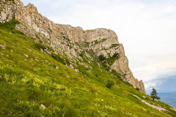 зеленый склон горы рано утром
