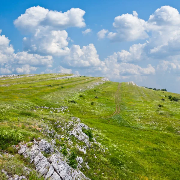 Zielona góra krajobraz doliny — Zdjęcie stockowe