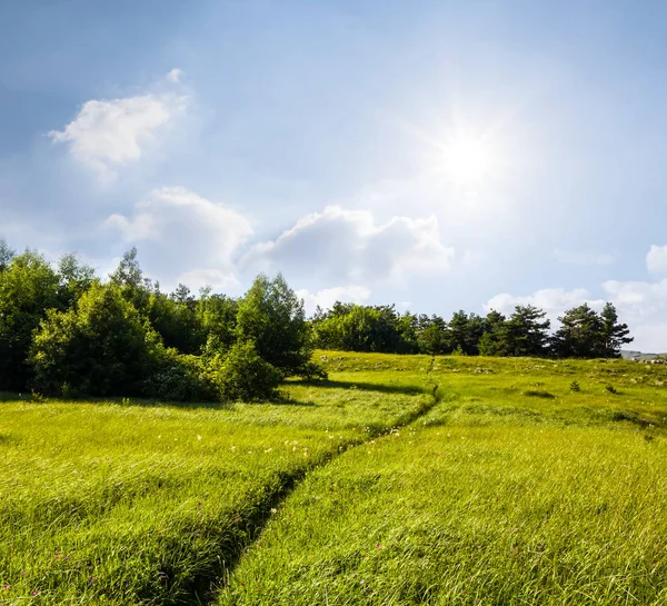Bir ışıltı yaz göğün altında yeşil tepeler — Stok fotoğraf