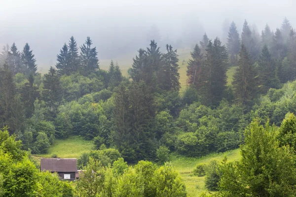 Petite maison en bois sur une pente de montagne dans une forêt — Photo