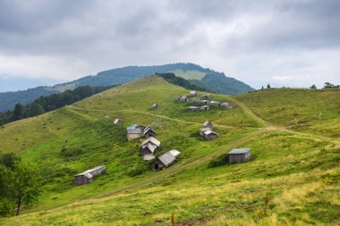 yeşil tepelerin arasında küçük bir köy