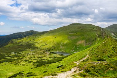 Yeşil dağ manzarası, Karpatlar Ukrayna