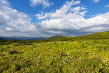 bir bulutlu gökyüzü altında güzel yeşil dağ Yaylası
