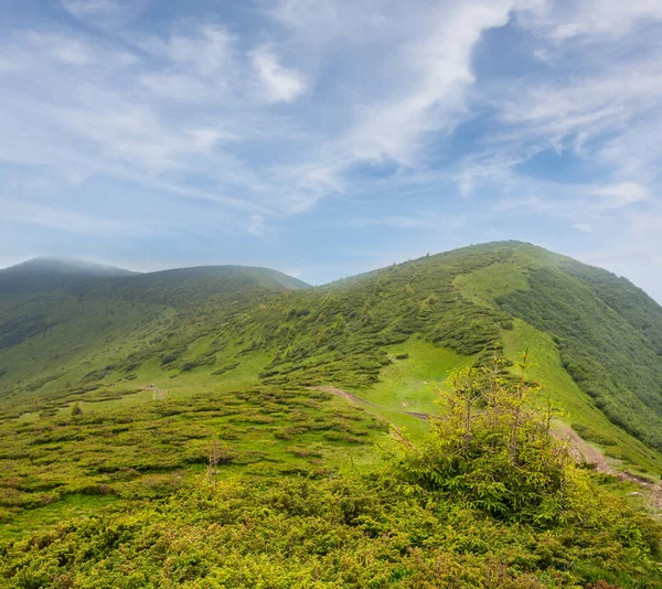 Красивый летний зеленый горный пейзаж — стоковое фото