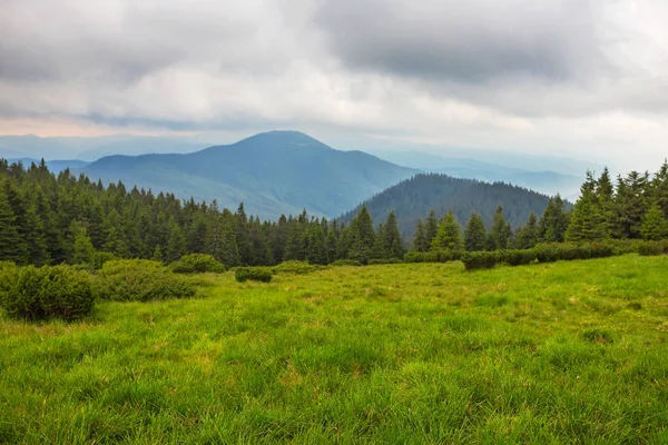 Lugnt grönt berg dalen landskap — Stockfoto