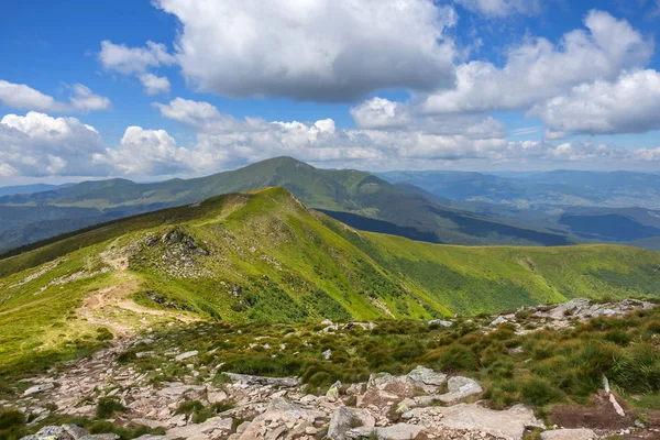 Yeşil Yaz dağ manzarası