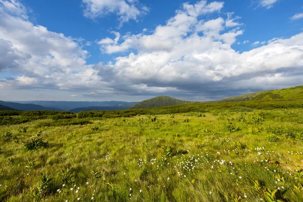 bir bulutlu gökyüzü altında güzel yeşil dağ Yaylası