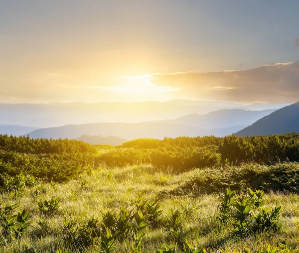 Green mountain valley at the sunset — Stock Photo, Image