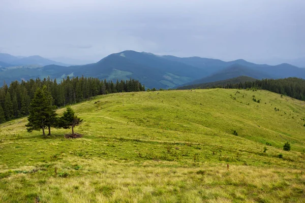 Bergfeld an einem düsteren Tag — Stockfoto