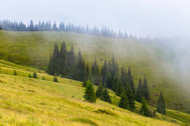 Yeşil dağ yamacında bir sis içinde