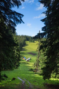 Yeşil dağ Vadisi arasında küçük bir köy