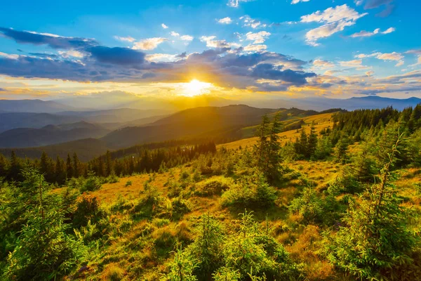 Bellissimo tramonto paesaggio montano, Carpazi montagna — Foto Stock