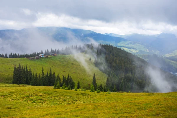 Verde valle di montagna in una nebbia e nuvole — Foto Stock