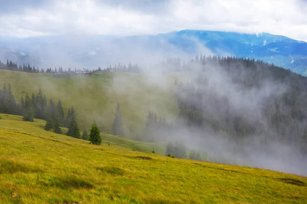 bir sis ıslak yeşil dağ Vadisi