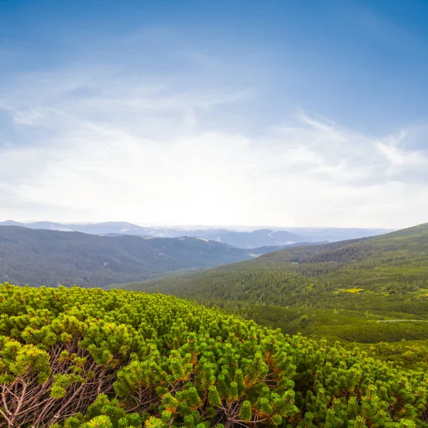 Verão paisagem de montanha verde — Fotografia de Stock