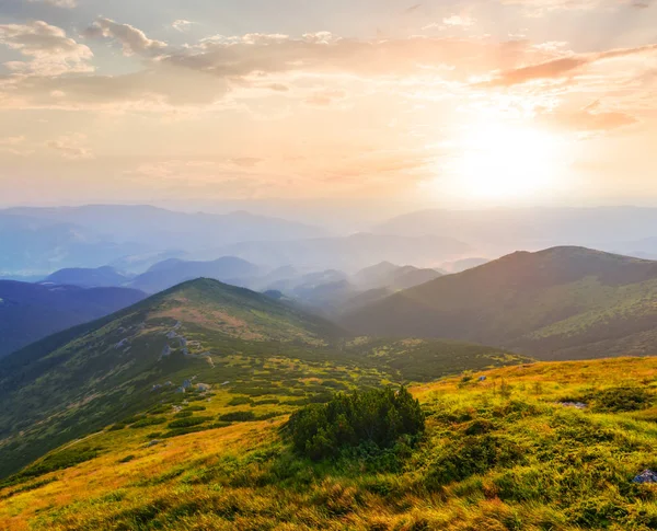 Зелена гірська долина на заході сонця — стокове фото