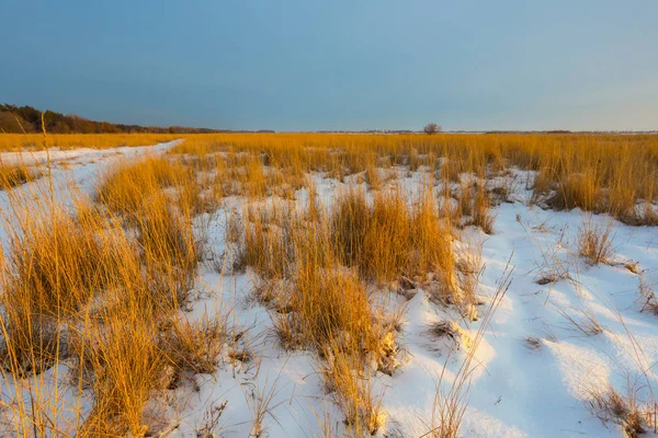 Prairie enneigée d'hiver le soir — Photo