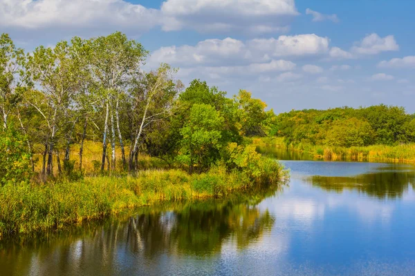 Ruhige sommerliche Flusslandschaft — Stockfoto