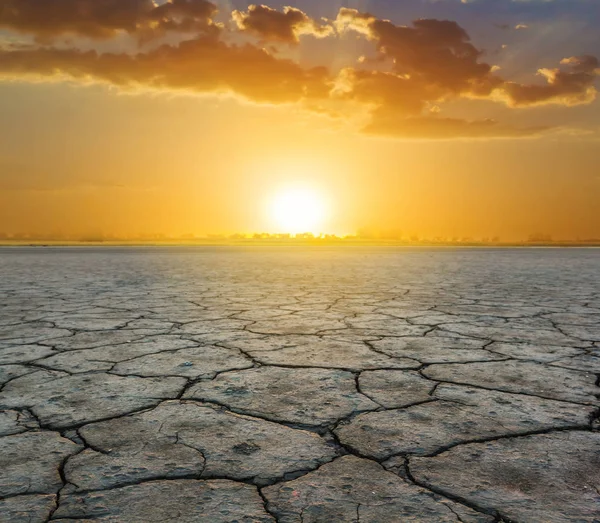 Tierra agrietada salina seca al atardecer — Foto de Stock