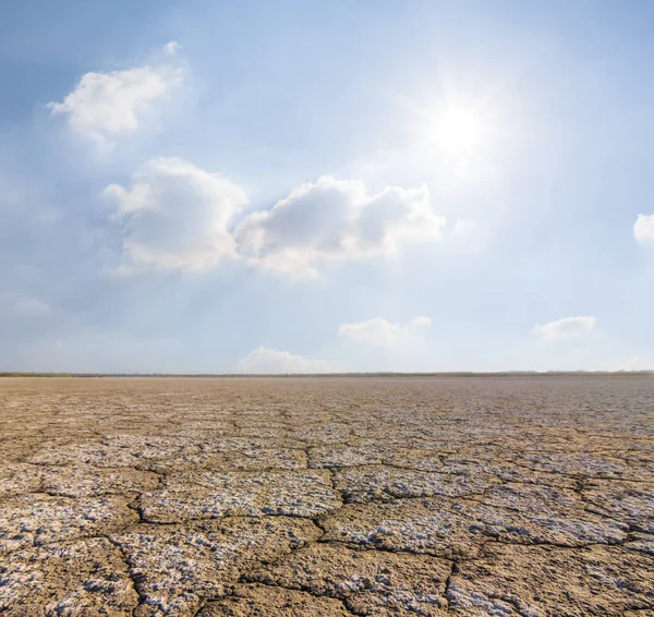 暑い夏の日に乾燥した生理食塩水の土地 — ストック写真