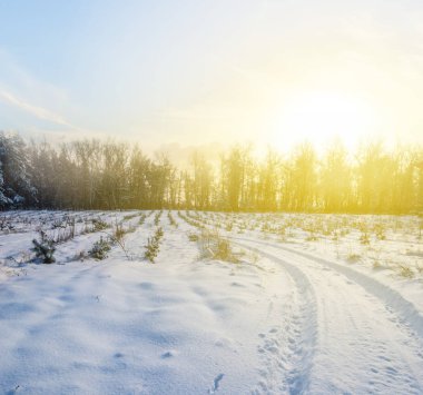gün batımında kış grubunu düz