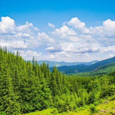 Yeşil dağ vadisi yaz manzarası