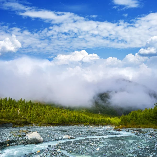 Fiume di montagna che scorre veloce attraverso campi pietrosi — Foto Stock