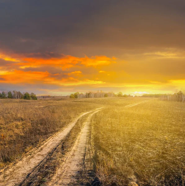 夕日を乾燥の秋の草原 — ストック写真