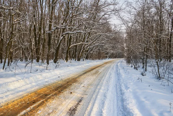 Strada attraverso una foresta innevata invernale — Foto Stock