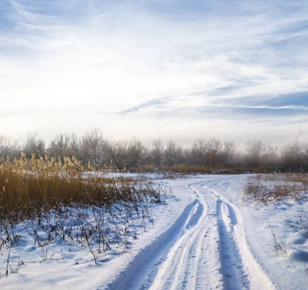 Champ enneigé d'hiver au coucher du soleil — Photo