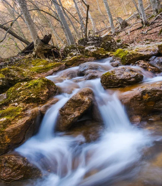 Closeup small brook in a mountain canyon — Stock Photo, Image