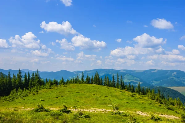 Зеленый холм под голубым облачным небом — стоковое фото