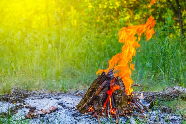 Primer plano fuego de campamento en un bosque — Foto de Stock