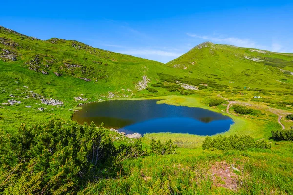 Озеро Несамовит в зеленой горной долине — стоковое фото