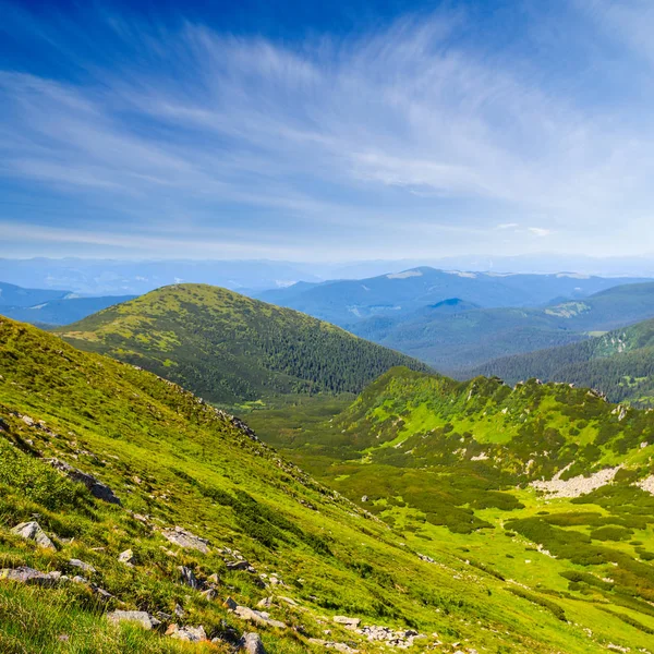 Zelené letní horské krajiny, Karpaty, Ukrajina — Stock fotografie