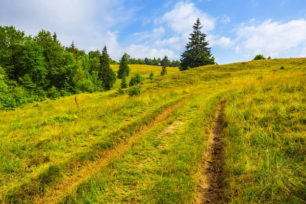Wunderschöne grüne Sommer-Berglandschaft — Stockfoto