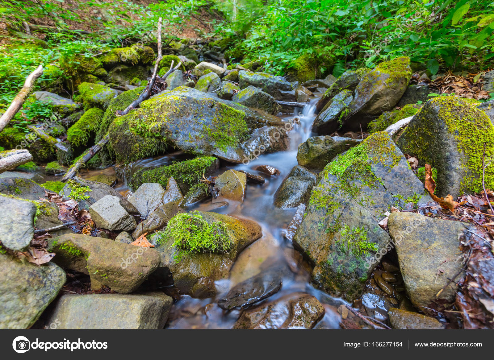 Beautiful closeup mountain brook — Stock Photo © york_76 166277154
