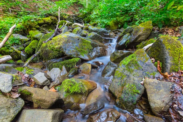 Vackra närbild mountain brook — Stockfoto