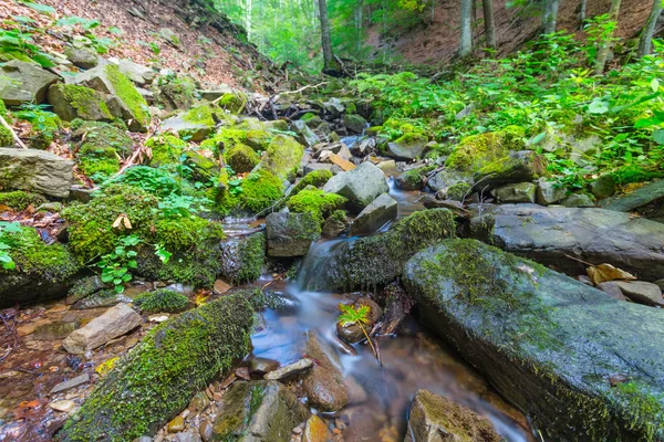 Malý potok v kaňonu hora — Stock fotografie