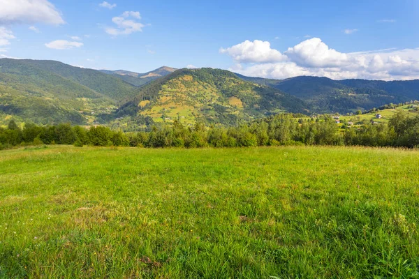 Grüne Gebirgstälern, Karpaten Ukraine — Stockfoto