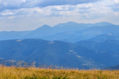 dağlık bir alan dışında yaz