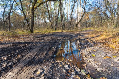 Su birikintisi ve bir orman arasında kirli yol