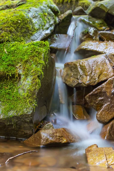 Mooie close-up mountain brook — Stockfoto