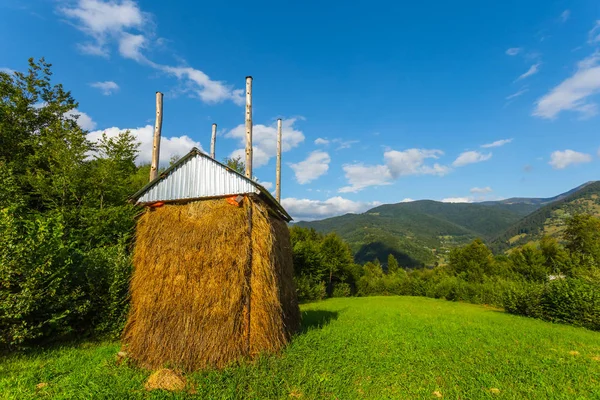 Haystack on a green forest glade — Stock Photo, Image