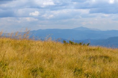 bulutlu gökyüzü altında dağ yamacında